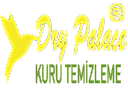Dry Palace Kuru Temizleme